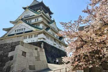 Half-day Private Guided Walking Tour to Osaka Castle