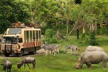 Bangkok: Safari World Tour with Safari and Marine Park Ticket, Lunch and Transfer