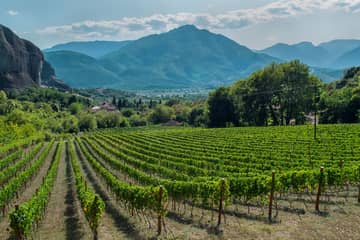 Wine Roads Private Day Tour: Corinth, Ancient Nemea and Optional  Winery Visit