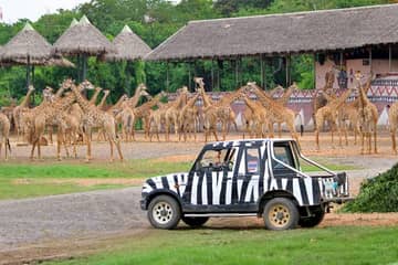 Bangkok: Safari World Tour with Safari Park Ticket and Transfer