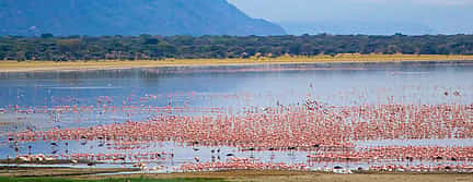 Foto 2 Lake Manyara National Park Ganztagestour