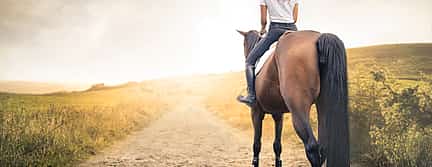 Foto 2 Excursión a caballo por Madeira para principiantes