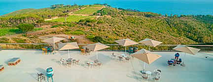 Foto 2 Aperitivo en la terraza de la isla de Elba