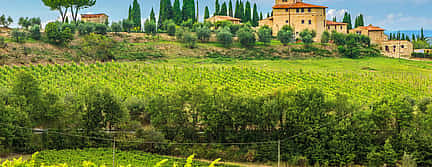 Photo 2 Chianti Wine Tour from Florence