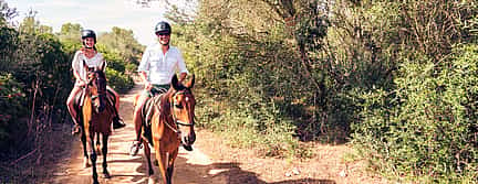 Foto 3 Excursión a caballo por Madeira para principiantes