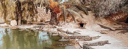 Photo 3 Djerba Explore: A Stunning Journey into Culture and Nature