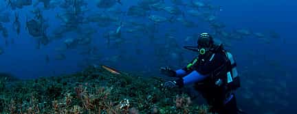 Photo 3 Become a Certified Open Water Diver from Azores - Santa Maria Island  - Your Underwater Adventure Starts Here!