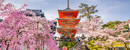 Foto 3 Visita privada de un día a la ciudad de Kioto