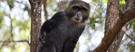 Photo 2 Makoa Farm Walking Tour