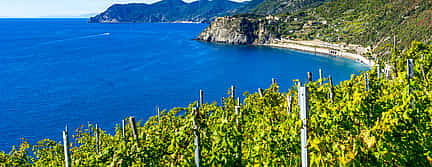 Foto 3 Excursión a pie por Cinque Terre con cata de vinos locales