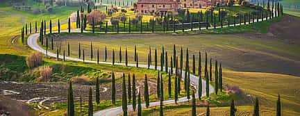 Photo 3 Montalcino, Pienza and Val d'Orcia Wine Roads