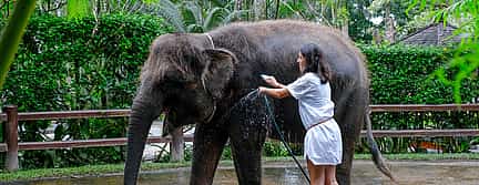 Photo 2 Bali Elephants Safari Park