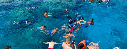 Photo 2 Snorkeling Trip to Tiran Island by Boat from Sharm El Sheikh
