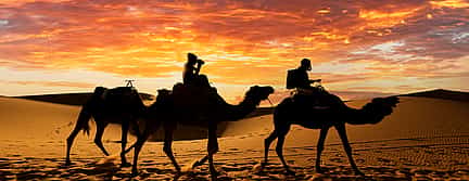 Фото 2 Частная экскурсия "Корабль пустыни" на верблюдах