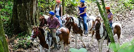 Foto 3 Excursión privada a caballo por el Volcán Arenal y las aguas termales de Baldi