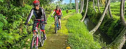 Photo 3 Bali Private Village Bike Tour