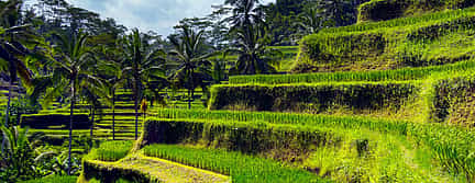 Photo 2 Customizable Private Experience in Bali