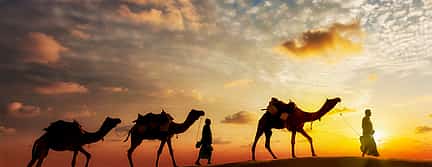 Photo 3 Morning Desert Safari with Sandboarding and Camel Ride