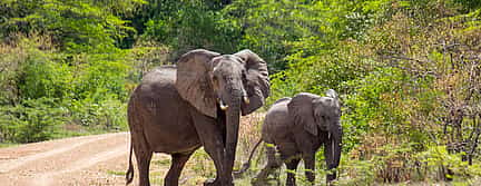 Photo 2 2-Day Tour to Selous Game Reserve Safari from Zanzibar or Dar es salaam