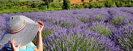 Photo 3 Lavender Fields and Lake Salda from Alanya