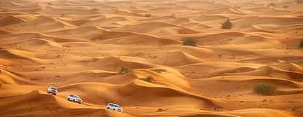 Фото 3 Частный тур "Сафари в пустыне