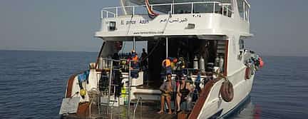 Foto 3 Day Tour on Yacht with 2 Dives with Lunch in Hurghada