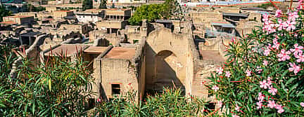 Фото 3 Помпеи и Геркуланум из Сорренто - без очереди