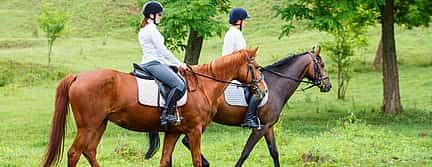 Photo 3 Horse Riding Madeira Tour for Beginners