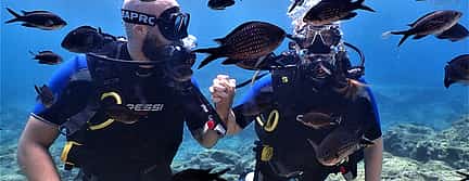 Photo 3 Scuba Diving for Beginners (try dive)