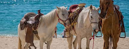 Photo 2 Horseback Riding in Corfu