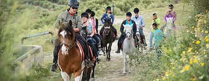 Foto 3 Equitación en la zona de Hersonissos
