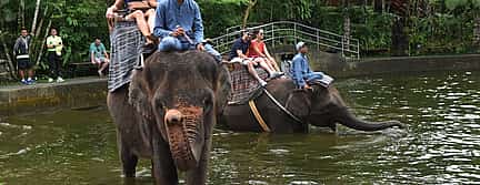 Photo 3 Bali Elephants Safari Park