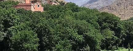 Photo 2 Tinmel Mosque Day Trip from Marrakesh