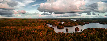 Фото 2 Самый сокровенный секрет Хельсинки. Волшебный поход в таежный лес