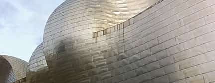 Photo 2 Guggenheim Bilbao Museum Private Tour