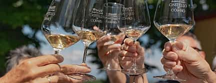 Photo 2 Truffle Hunt with Fresh Pasta Lunch, Cellar & Old Villa Tour, Wine and San Gimignano