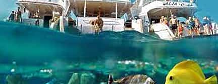 Photo 2 Snorkel Trip to Giftun Island from Hurghada