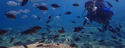 Photo 2 Scuba Diving for Beginners (try dive)