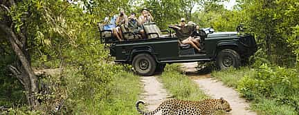 Photo 3 3-day Tour at Aquila Game Reserve. Big 5 Experience from Cape Town