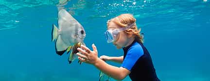 Photo 3 Snorkeling Tour at Blue Lagoon Beach