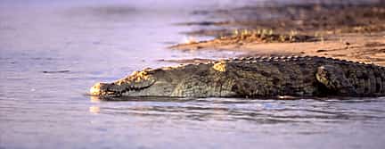 Photo 3 2-Day Tour to Mikumi Safari from Dar es Salaam