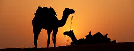 Photo 3 Desert Safari Adventure with Evening Show
