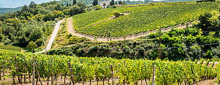 Photo 3 Brunello di Montalcino Small Group Day Tour from Florence