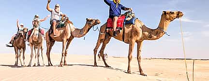 Photo 3 7 Days of Trek & Camel: Your Ultimate Saharan Adventure (From Tunis)