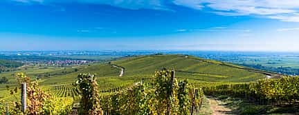 Photo 2 Alsace Wine Tour from Strasbourg