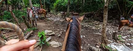 Foto 2 Excursión privada a caballo por el Volcán Arenal y las aguas termales de Baldi