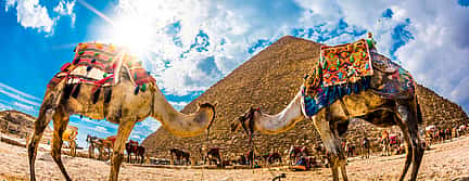 Photo 3 Camel Ride Tour around the Pyramids