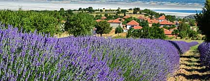 Photo 2 Lavender Fields and Lake Salda from Side.