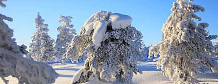 Foto 2 Schneesurfen im Freerider-Paradies im Pyhä-Gebiet
