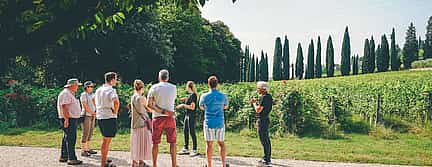 Foto 2 Visita privada a la campiña y el vino de Milán